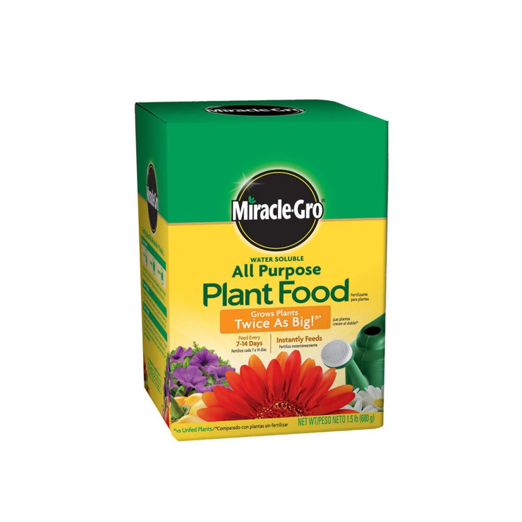 MiracleGro Growing Kit Flowers Wayfair